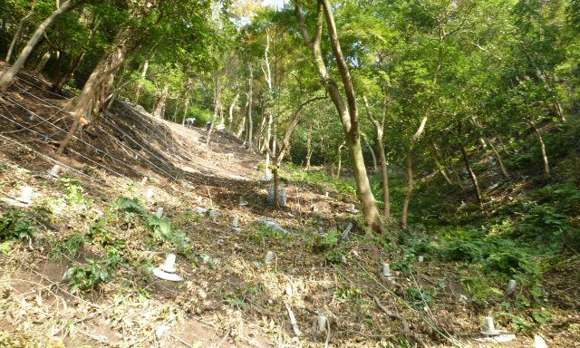 神奈川県三浦郡葉山町の土砂災害・急傾斜地崩壊対策工事において、「ユニットネット工法」を導入。レッドゾーン（土砂災害特別警戒区域）内の施工事例。