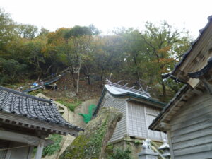石川県輪島市の土砂災害・急傾斜地崩壊対策工事において、「ユニットネット工法」を導入。レッドゾーン（土砂災害特別警戒区域）内の施工事例。